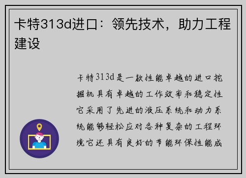 卡特313d进口：领先技术，助力工程建设